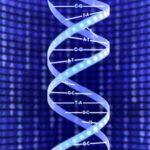 DNA Track 2022